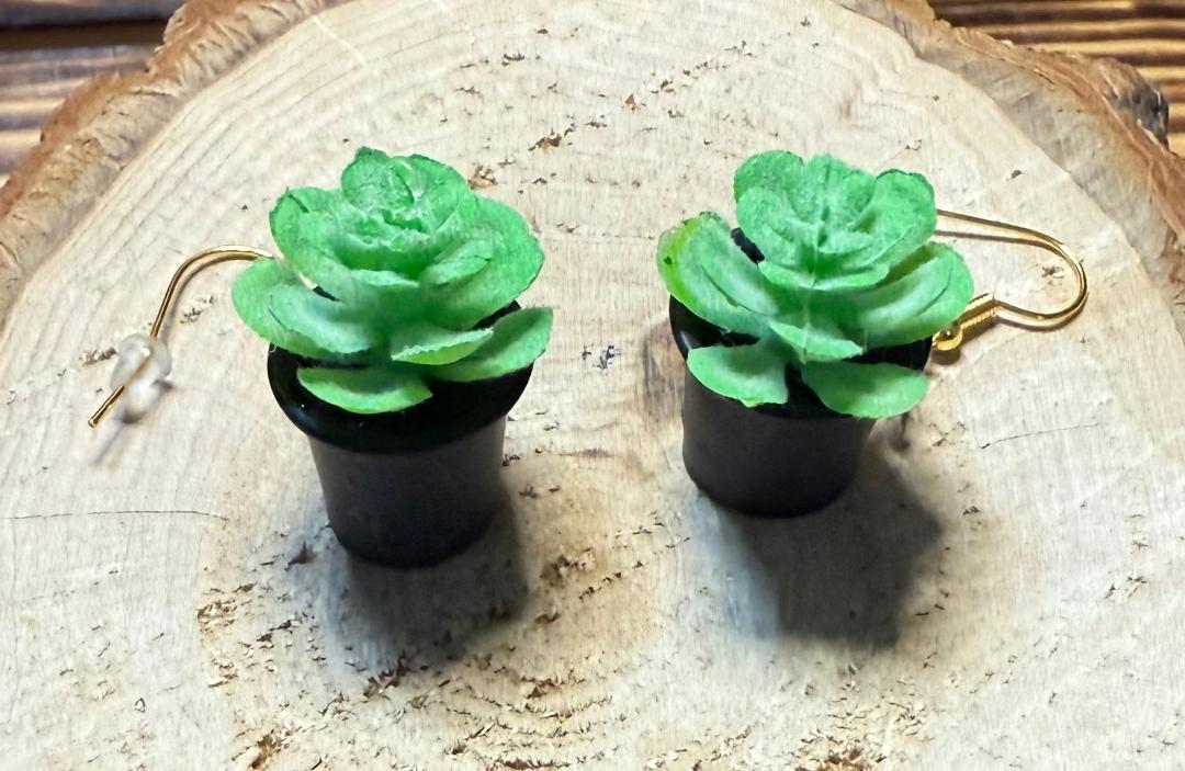 NEW Cute Green Succulent Plant / Black Pot Earrings