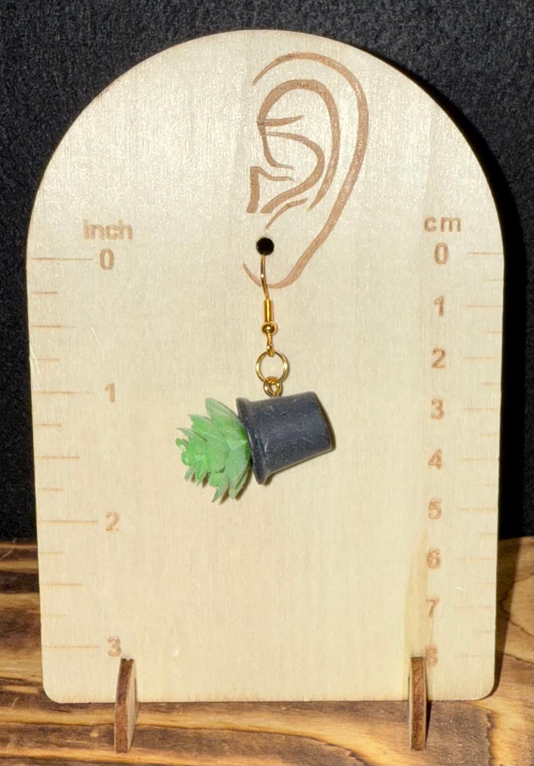 NEW Cute Green Succulent Plant / Black Pot Earrings
