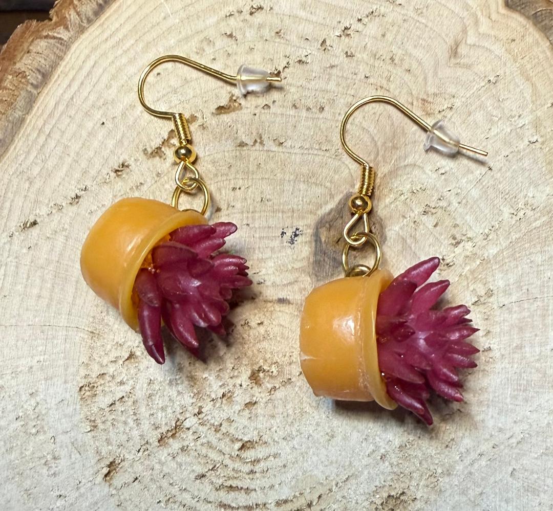 NEW Burgundy Potted Succulent Plant Earrings