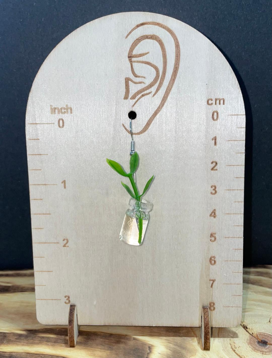 NEW Mini Glass Jar & Green Plant Earrings