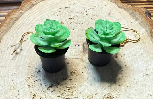 NEW Cute Green Succulent Plant / Black Pot Earrings