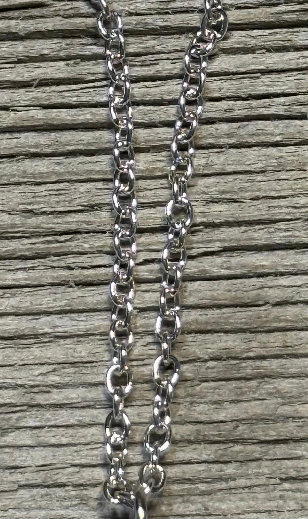 NEW Large Stainless Steel Coffin Spider & Web 16" Necklace