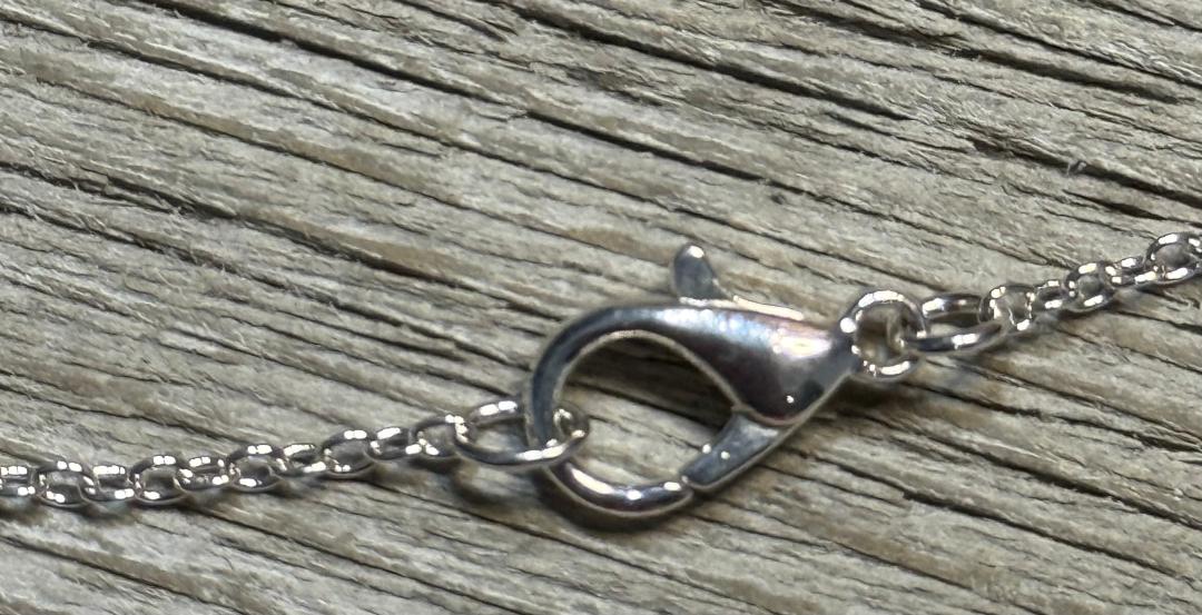 NEW Large Stainless Steel Coffin Spider & Web 16" Necklace